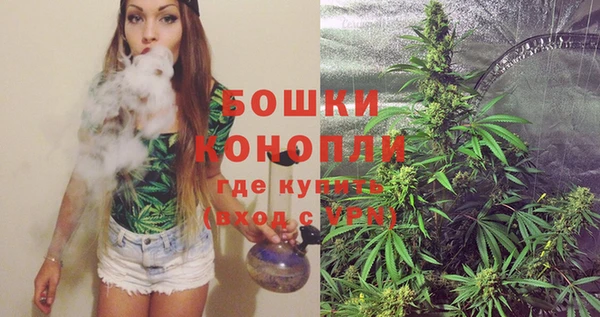 ПСИЛОЦИБИНОВЫЕ ГРИБЫ Баксан