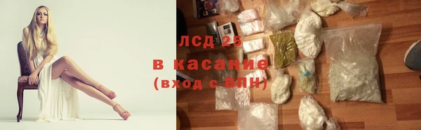 ПСИЛОЦИБИНОВЫЕ ГРИБЫ Баксан