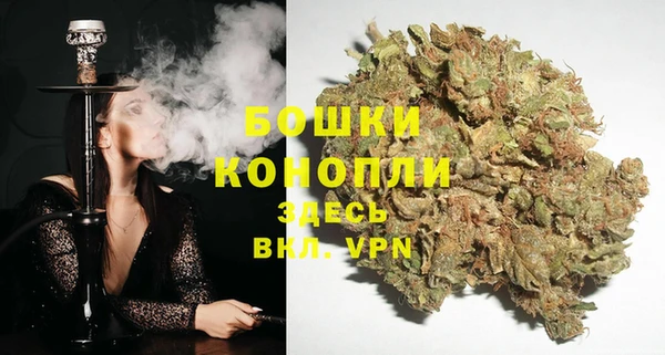 стаф Снежногорск