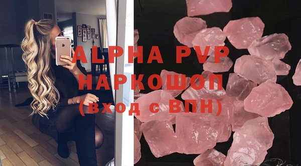 стаф Снежногорск
