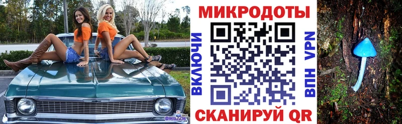 где найти наркотики  Верещагино  Галлюциногенные грибы GOLDEN TEACHER 